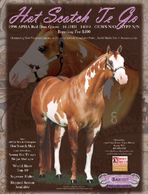 Scotch2011Flyer